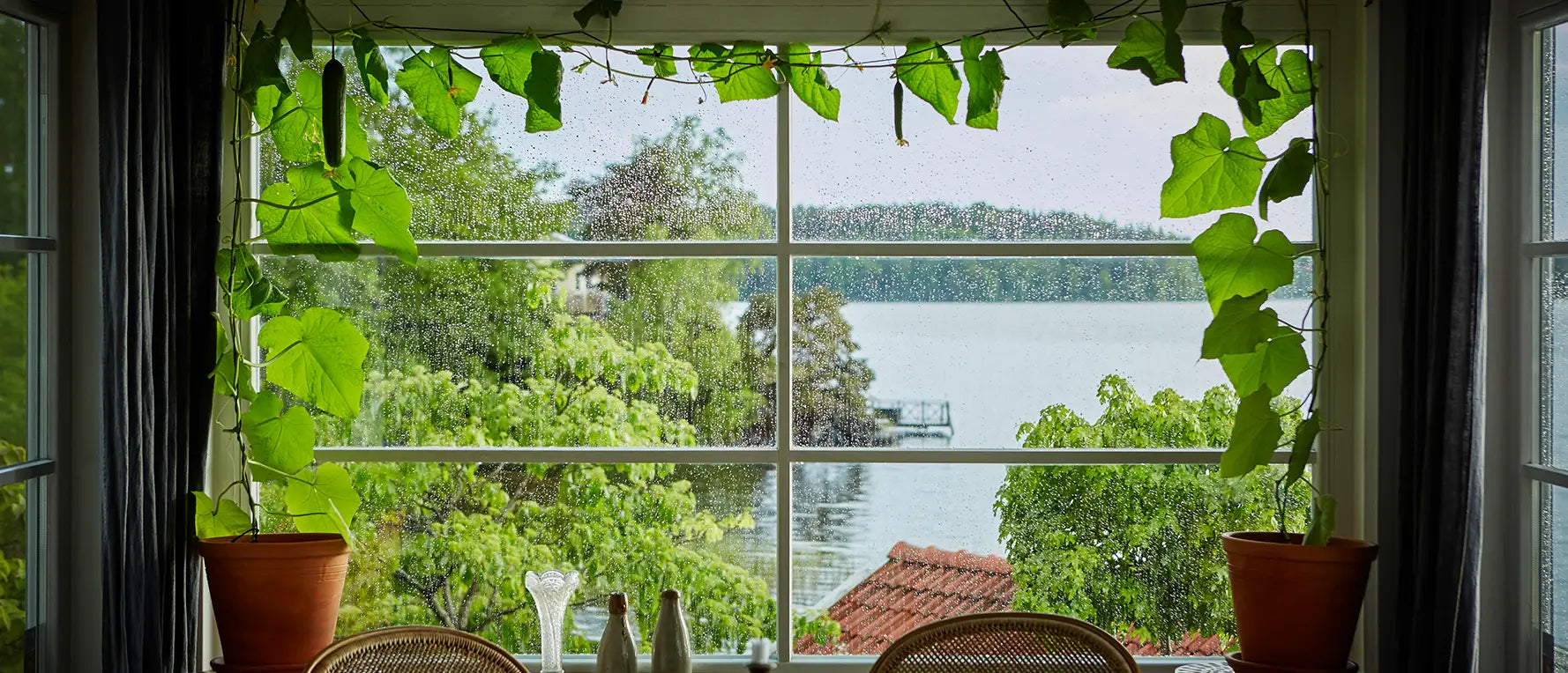 Gurkgardin med utsikt över sjön