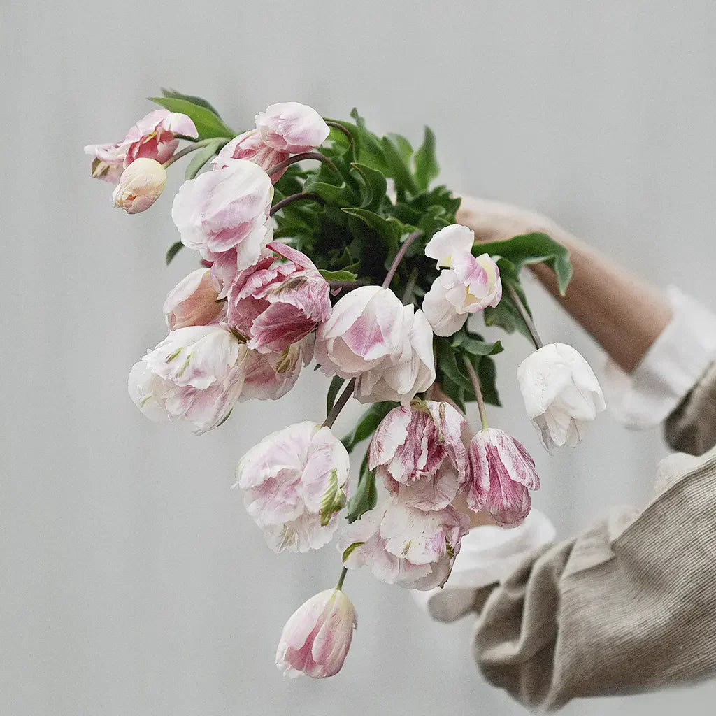 Rosa tulpaner i bukett