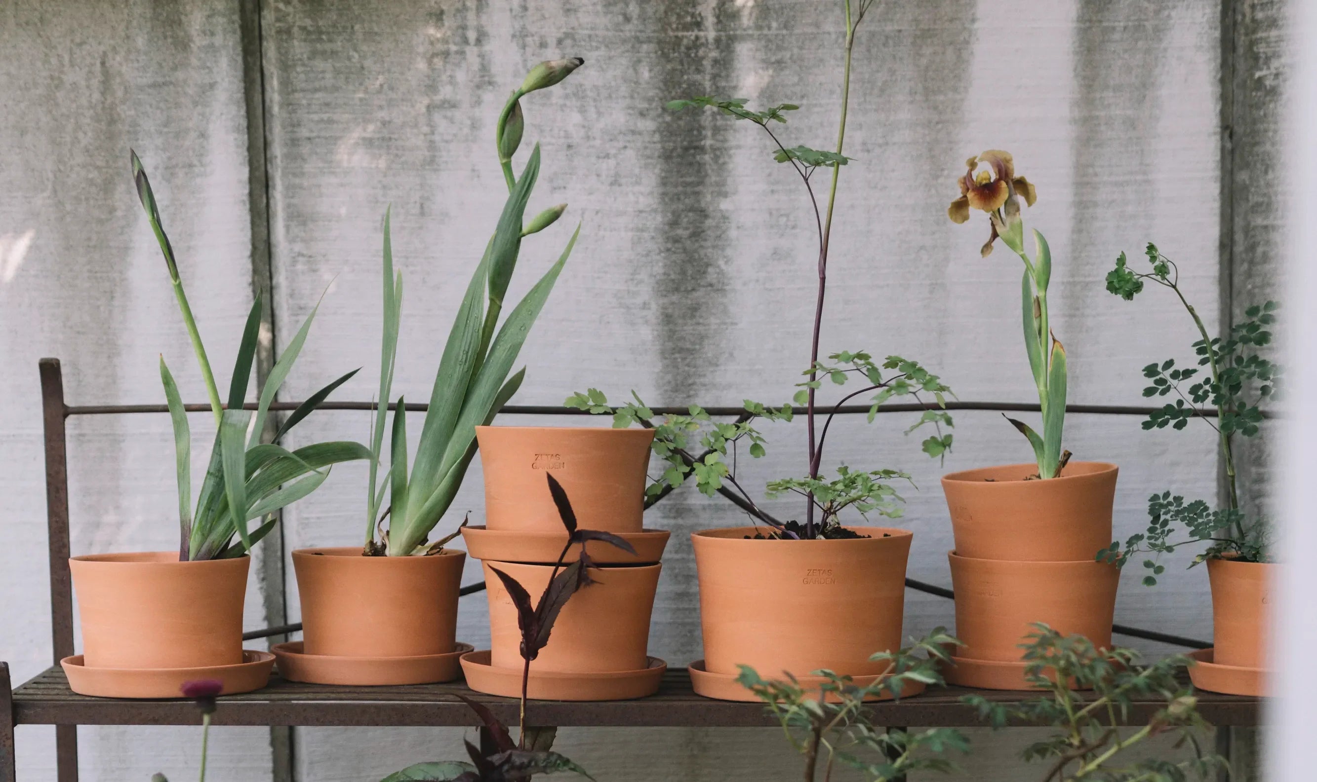 Inredning för trädgård och hem