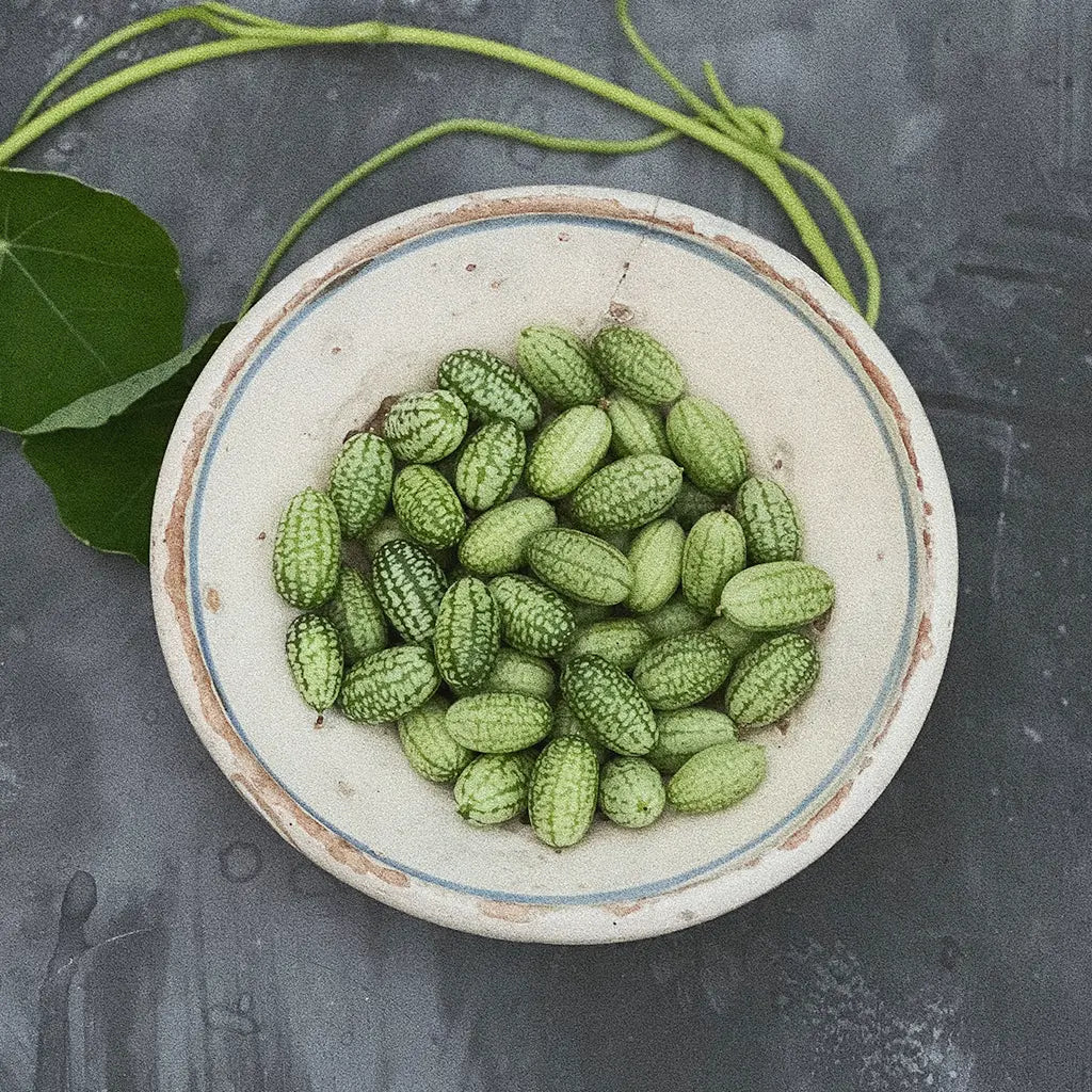 Övriga grönsaksfröer