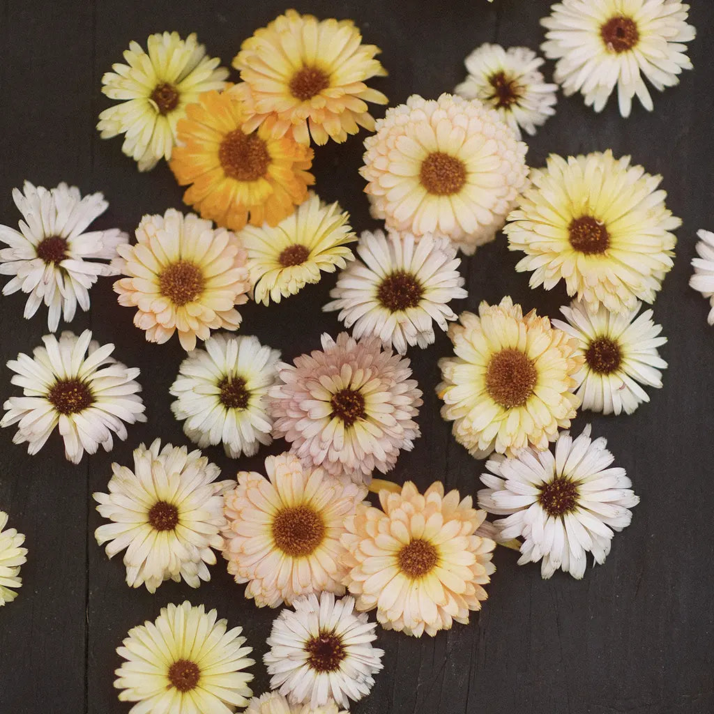 Ringblomma