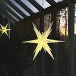 Julstjärna i växthuset