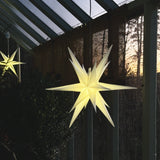 Julstjärna i växthuset