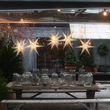 Adventsstjärna 'Alice' 60cm