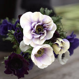 Bukettanemon 'Rainbow Blue & White'
