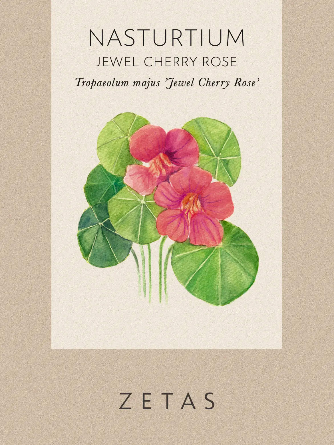 Fröpåse Dvärgkrasse Jewel cherry rose