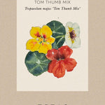 Fröpåse med Dvärgkrasse i gult orange och rött - Tropaeolum minus 'Tom Thumb'