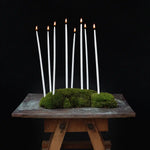 Smala ljus i mossa på ett bord