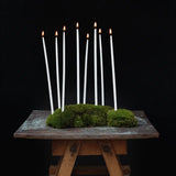 Smala ljus i mossa på ett bord