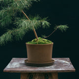 Kruka 'Gro' Mellan Ø20,5 cm Ash Brown