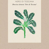 Palmkål 'Nero di Toscana'