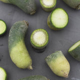 Rädisa/Daikon 'Green Loubo Improved'