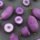 Rädisa/Daikon 'KN BRAVO F1'