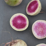 Rädisa/Daikon 'Red Meat'