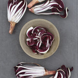 Rosensallat, Radicchio 'Cagnani'