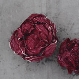 Rosensallat, Radicchio 'Grumolo Rosso'