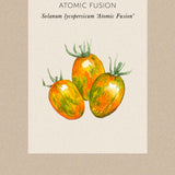 Tomat 'Atomic Fusion'