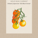 Tomat 'Gold Rush Currant'