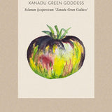 Tomat 'Xanadu Green Goddess'