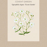 Vit sommarslöja 'Covent Garden'