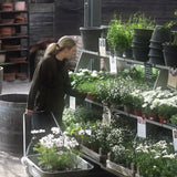 Zetas Handelsträdgård Presentkort