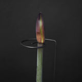 Amaryllisstöd 'Bruno'