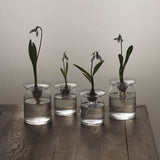 Glasvas 'Nivalis' liten
