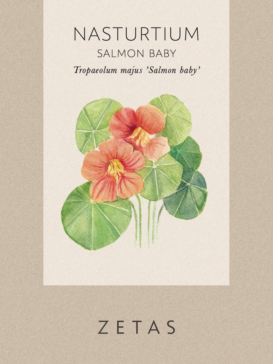 Fröpåse Dvärgkrasse - Tropaeolum minus 'Salmon Baby'
