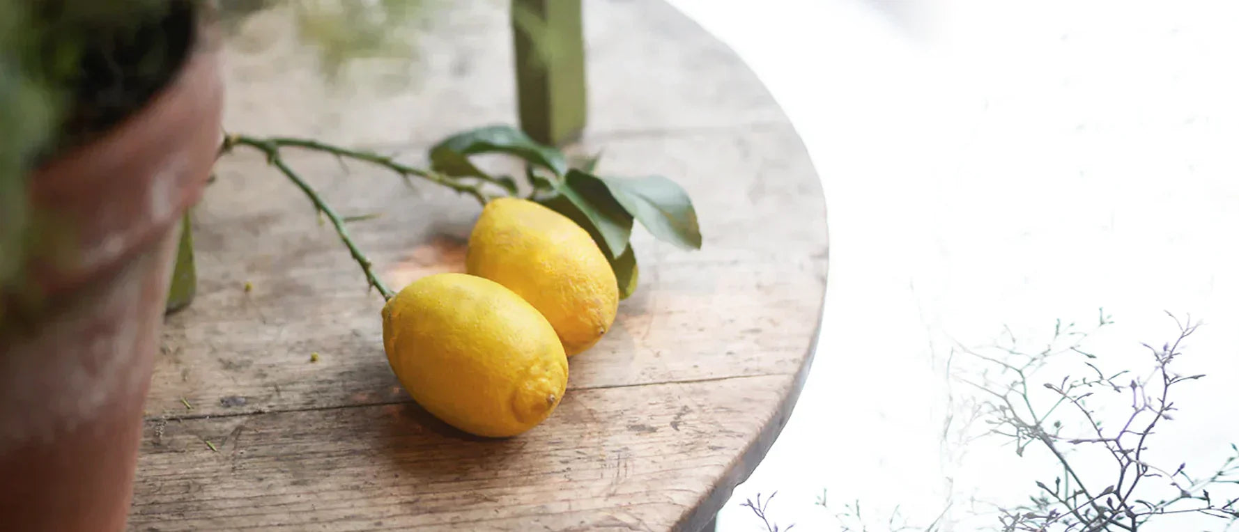 citron på kvist på ett bord