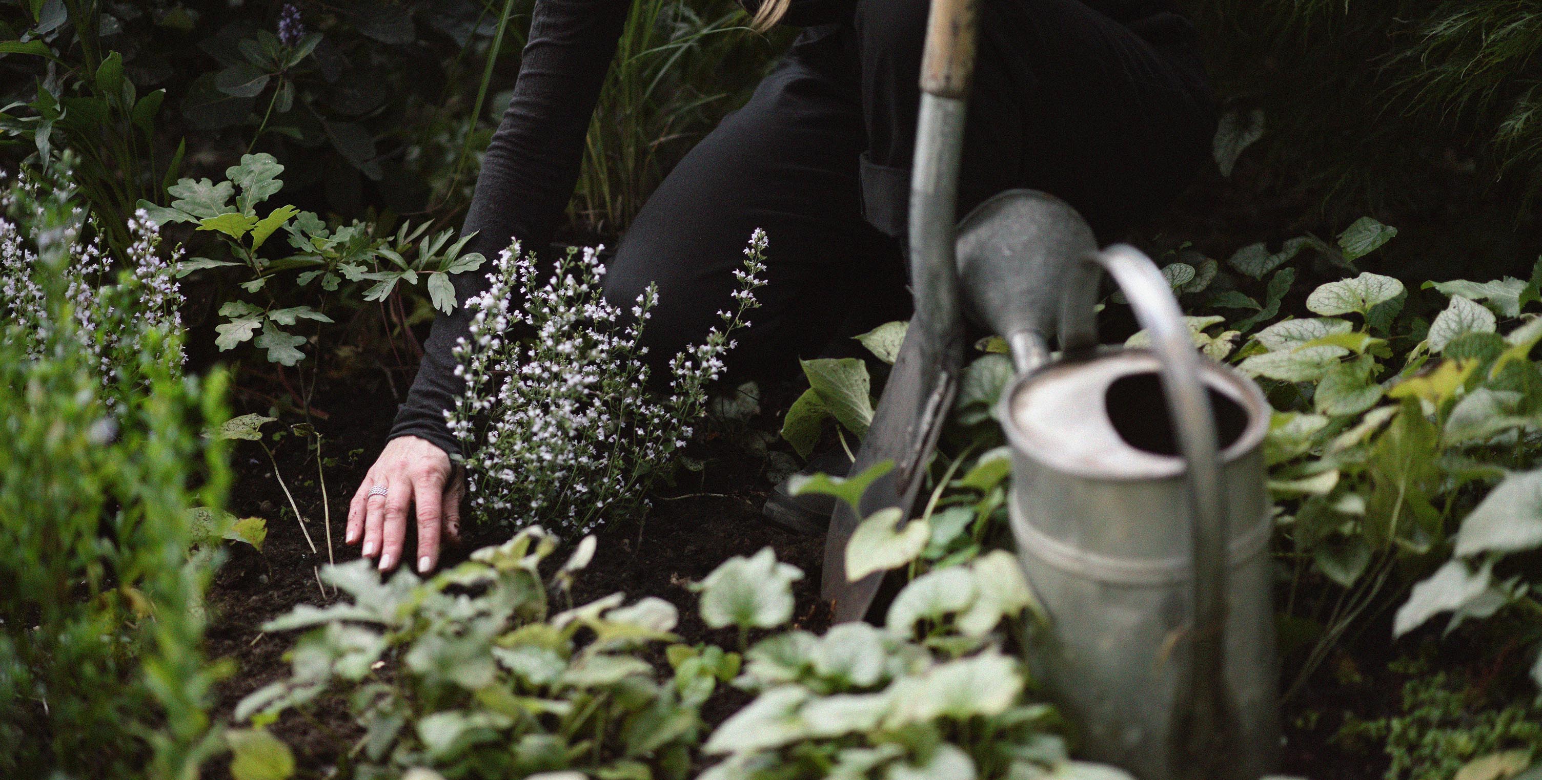 Kom igång med höstplantering!