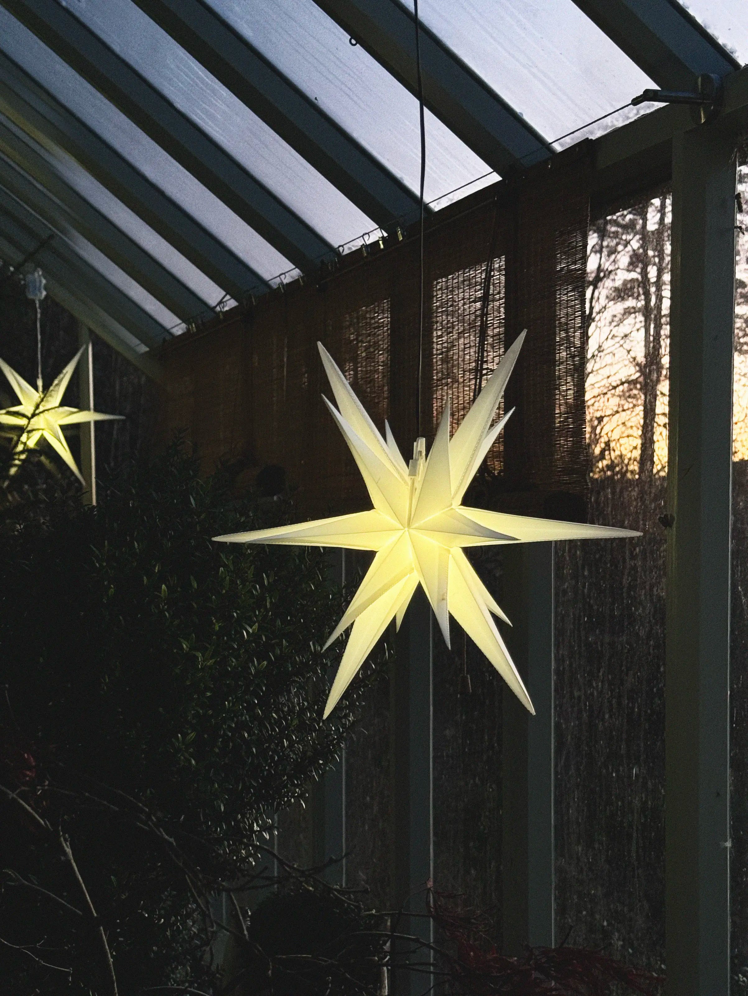 Julstjärna i växthuset
