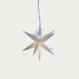 Adventsstjärna 'Alice' 10 cm