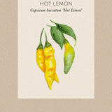 Chilipeppar 'Hot Lemon'