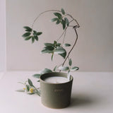 Doftljus 'Silverberry' 350 g