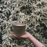 Doftljus 'Silverberry' 350 g