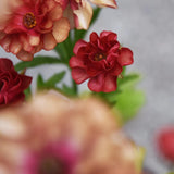 Fjärilsranunkel 'Butterfly Hades'®