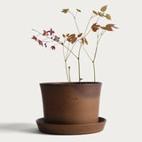 Kruka 'Gro' Liten Ø17,5 cm Ash Brown