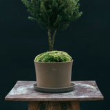 Kruka 'Gro'  Mellan Sage Green