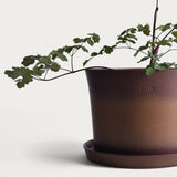 Kruka 'Gro' Stor Ø25 cm Ash Brown