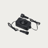 Ljushänge 'Slöjsilja'