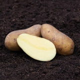 Potatis Sparrispotatis 1 kg