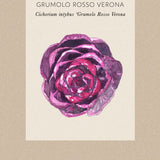 Rosensallat, Radicchio 'Grumolo Rosso'