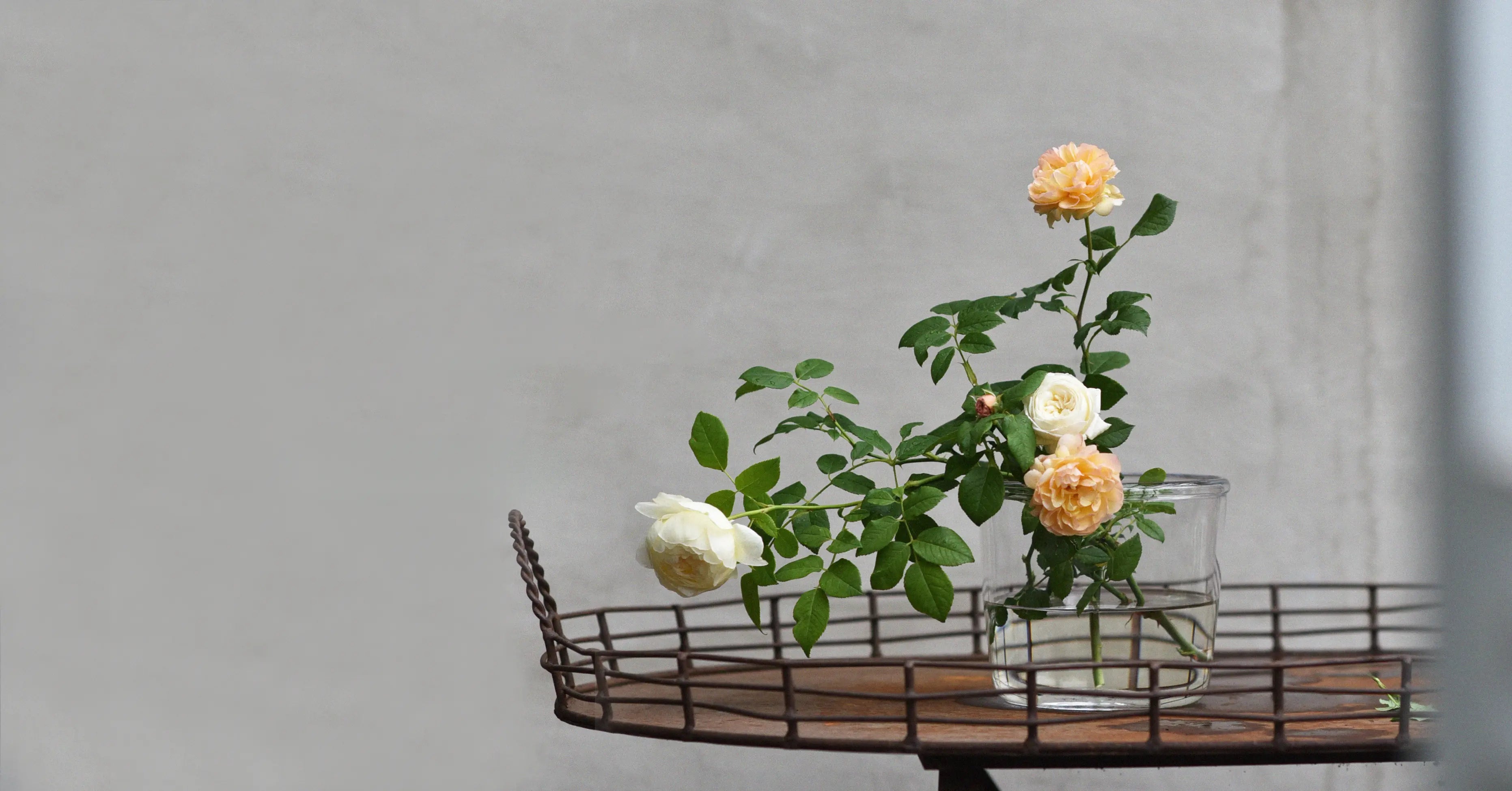 ÅRETS ROSOR ÄR HÄR