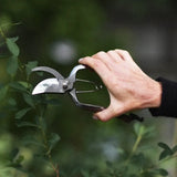 Sekatör 'Björk'