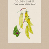 Sockerärt 'Golden Sweet'
