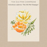 Sömntuta 'Thai Silk Pink Champagne'