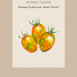 Tomat 'Atomic Fusion'