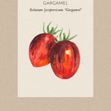 Tomat 'Gargamel'