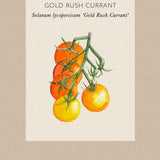 Tomat 'Gold Rush Currant'