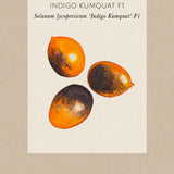 Tomat 'Indigo Kumquat'
